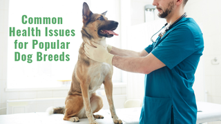Common Health Issues for Popular Dog Breeds