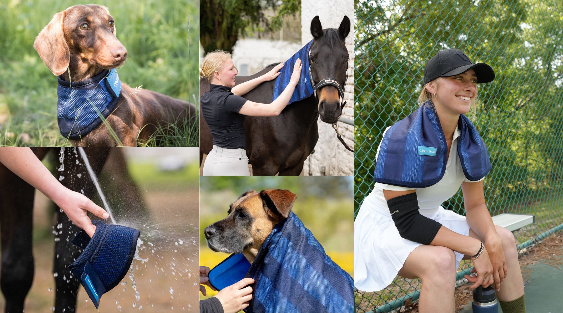 Stay Cool This Summer: How Cool on Track® Helps Protect You, Your Horse, and Your Pet from the Heat