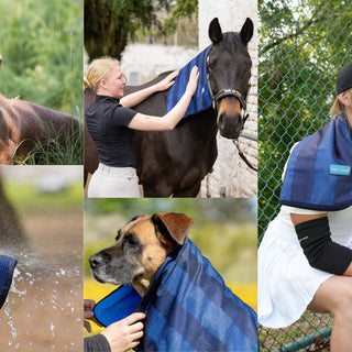 Stay Cool This Summer: How Cool on Track® Helps Protect You, Your Horse, and Your Pet from the Heat
