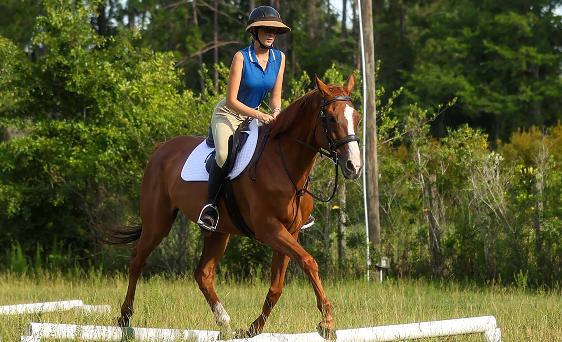 How IEA Helped Hannah Howard Succeed in the Hunter Ring