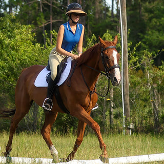 How IEA Helped Hannah Howard Succeed in the Hunter Ring