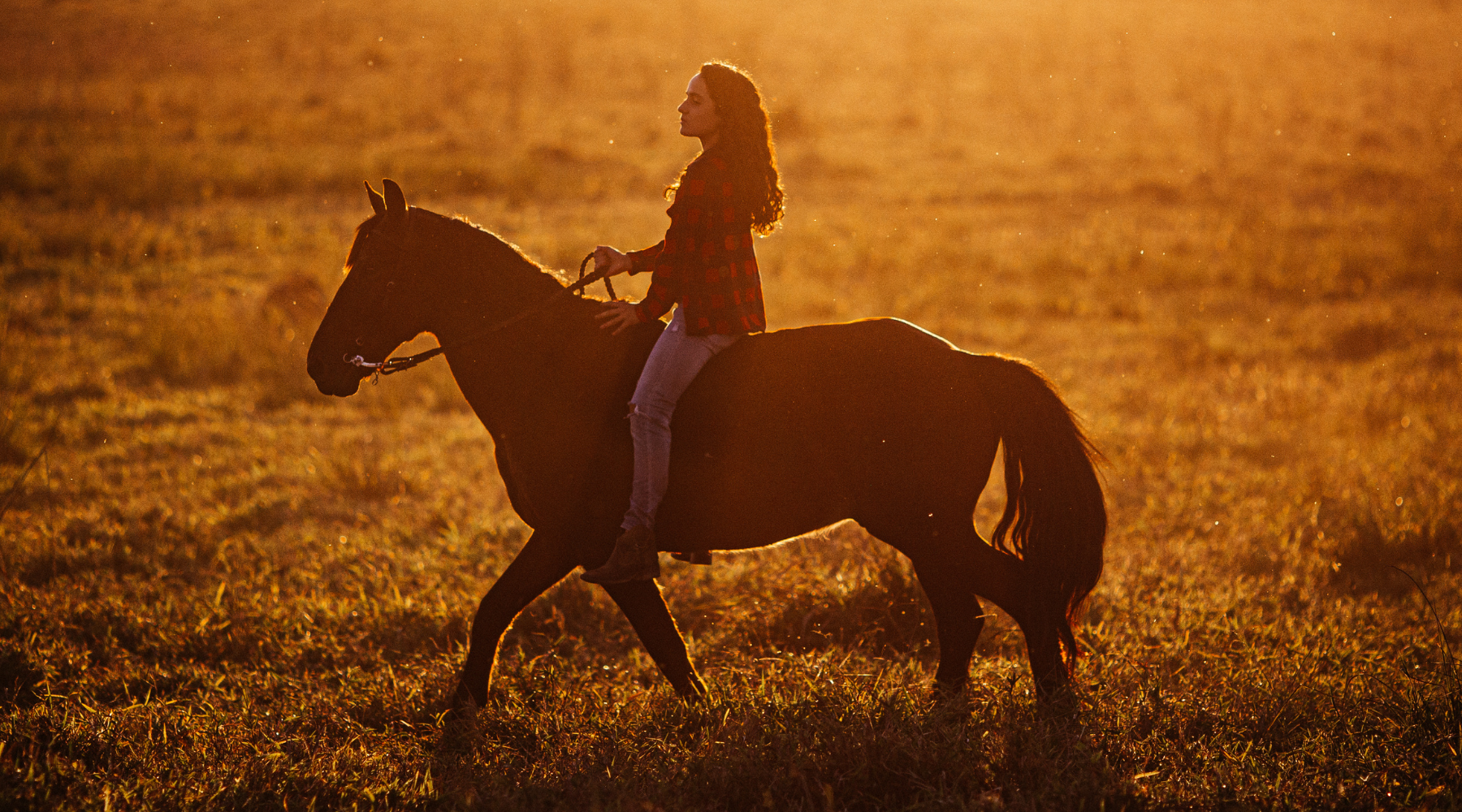 How Horseback Riding Can Improve Your Health