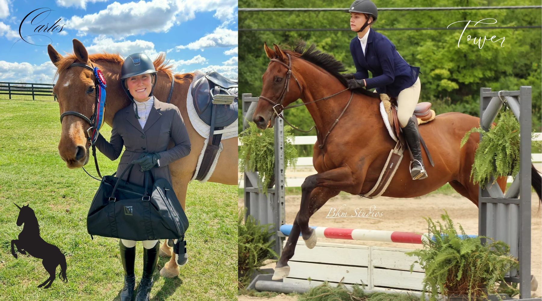 Back on Track Celebrates IHSA “Unicorn” Horses and Announces Winners