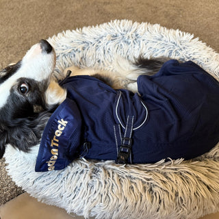 Dog Coat Fitting Tips with Holly Sikora