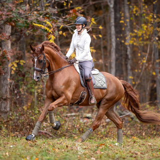 Ride-A-Test Tips With Augusta Van Tongeren