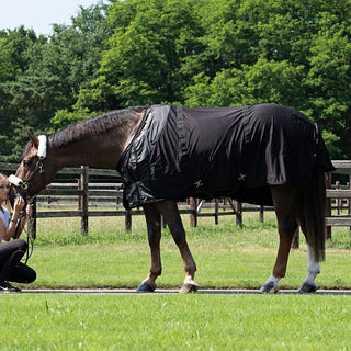 How You Can Help Your Horse Recover From Injury