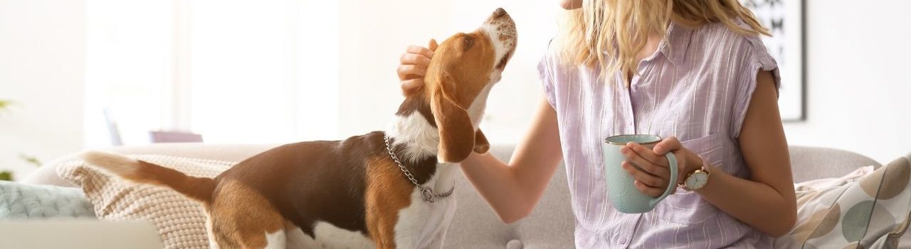 health benefits of owning a dog