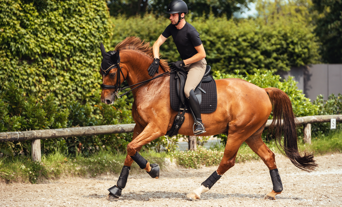 Choosing the Right Boots and Wraps for Your Horse