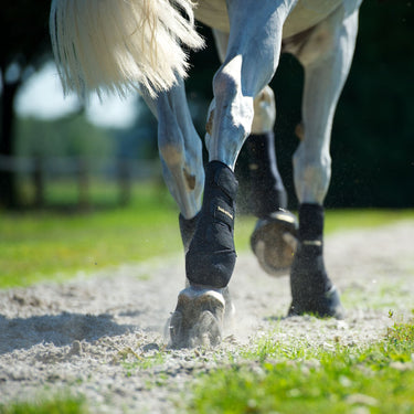 Exercise Boots