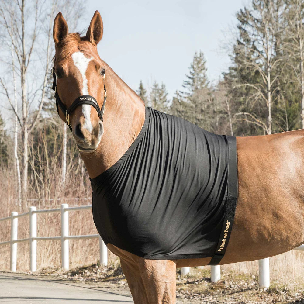 Human Therapeutic Fleece Blanket  Back on Track - Back on Track USA