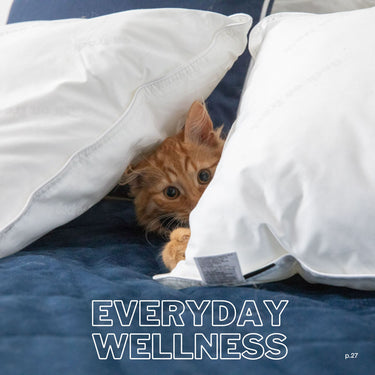 Everyday Wellness - Bedding & Blankets