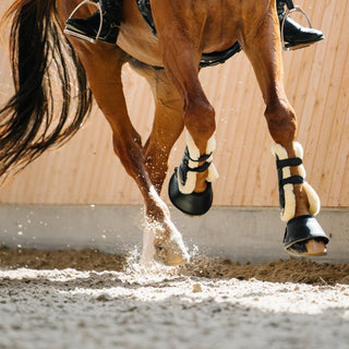 Horse Boots & Leg Wraps