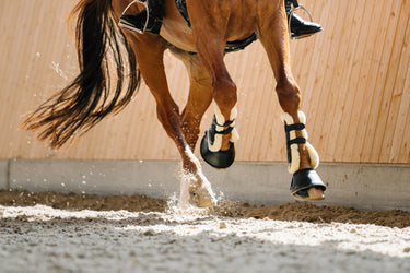 Horse Boots & Leg Wraps