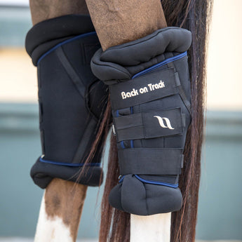 Royal Padded Hock Boots Deluxe