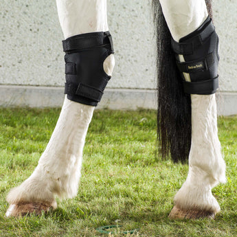 Back on Track Therapeutic Horse Hock Boot with Hole Lifestyle