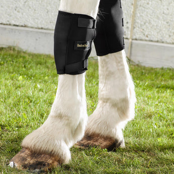Back on Track Therapeutic Horse Knee Boot Lifestyle - Sold in Pairs