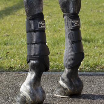 Back on Track 3D Mesh Therapeutic Horse Splint Boots Lifestyle