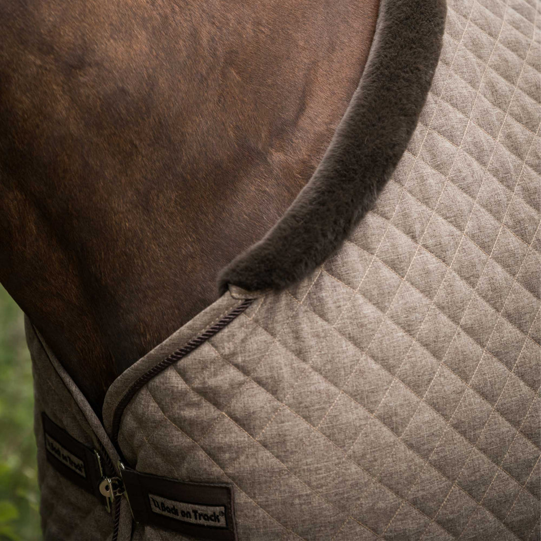 Back on Track Haze Collection Therapeutic Horse Show Quilt Cooler Brown