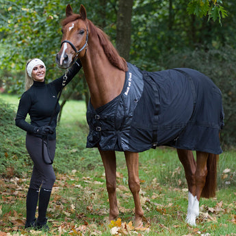 Back on Track Therapeutic Horse Mesh Sheet Black Lifestyle