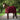 Back on Track Therapeutic Horse Mesh Sheet Burgundy Lifestyle