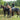 Back on Track Therapeutic Horse Exercise Sheet-Fleece Lifestyle