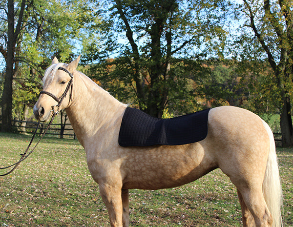 Back on Track Therapeutic Western Saddle Pad Liner Lifestyl
