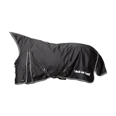Back on Track Brianna Therapeutic Horse Turnout Sheet