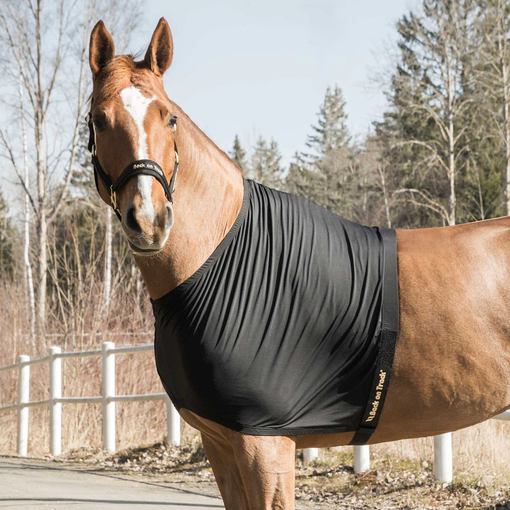 Back on Track Therapeutic Horse Shoulder Guard Lifestyle