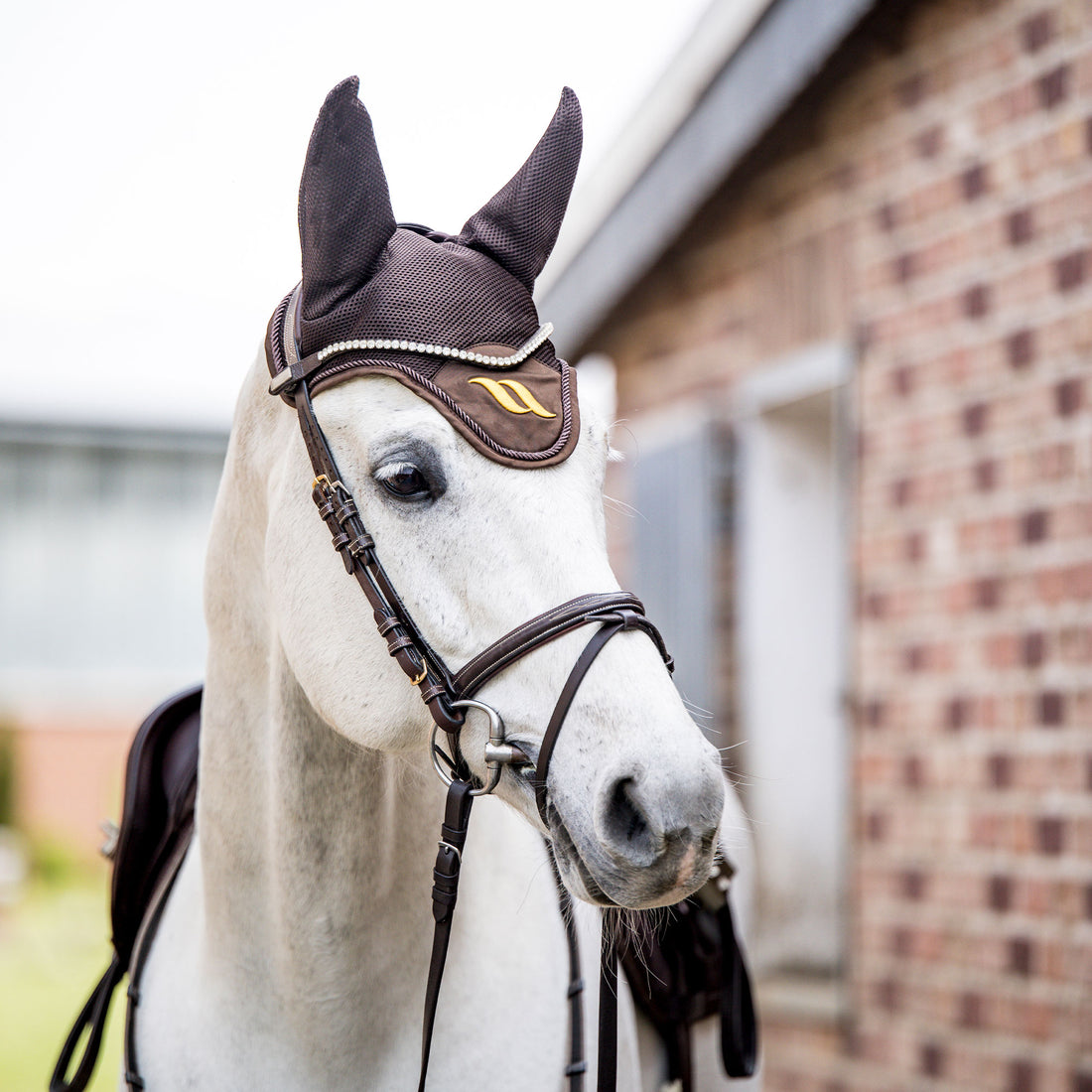 Airflow Horse Bonnet
