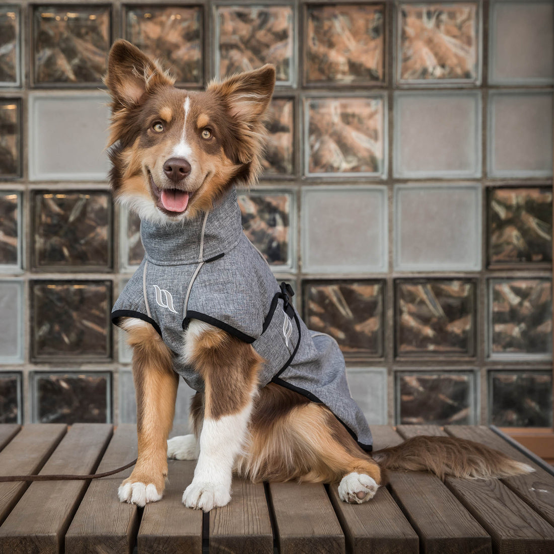 Nella Therapeutic Dog Coat