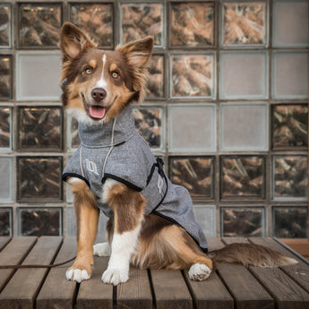 Nella Dog Coat with Iontex®, reflective trim, and extended tail coverage for comfort, warmth, and mobility