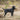 Bark Therapeutic Dog Coat Black Lifestyle