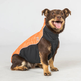Eddie Petite High Visibility Reflective Orange Jumper for Dogs