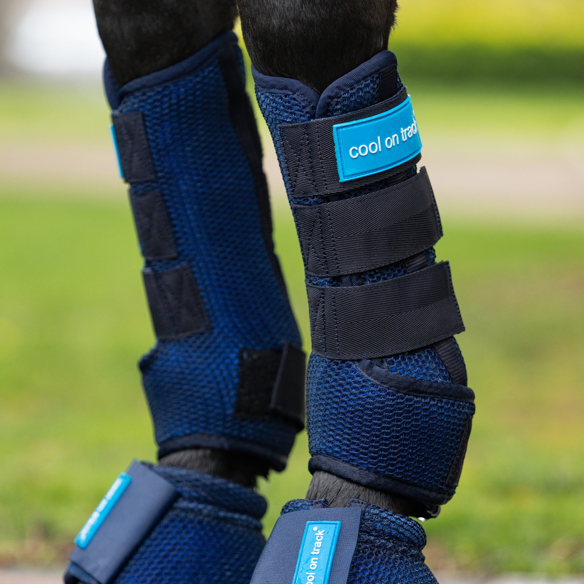 Cool Back Cool on Track®™ Horse Quick Wraps | Back on Track USA - Back on Track USA