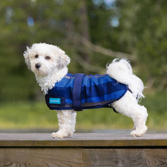 Cool on Track® Cooling Dog Coat