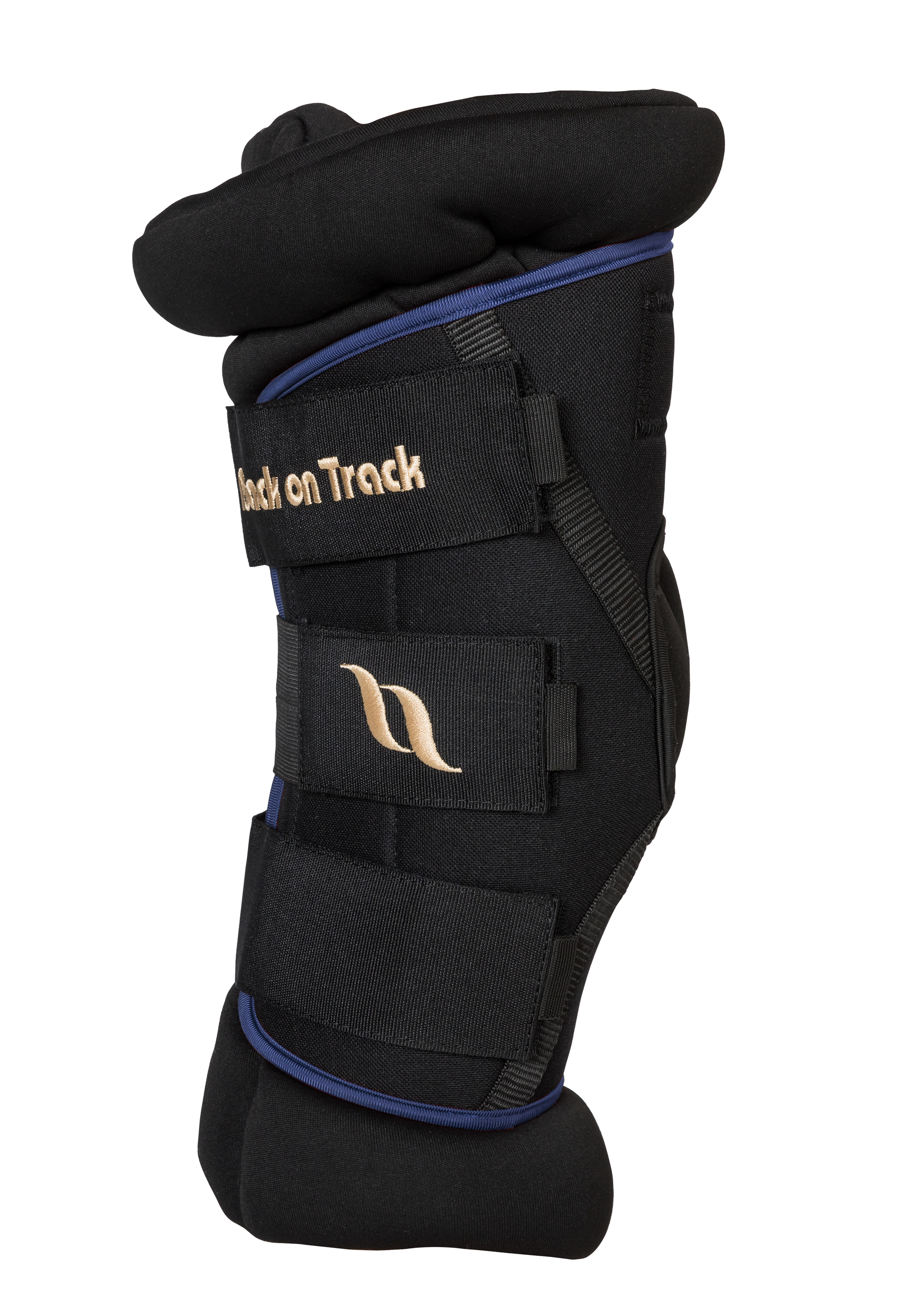 Back on Track Royal Deluxe Hock Boots with padding for joint support, comfort, and therapeutic benefits