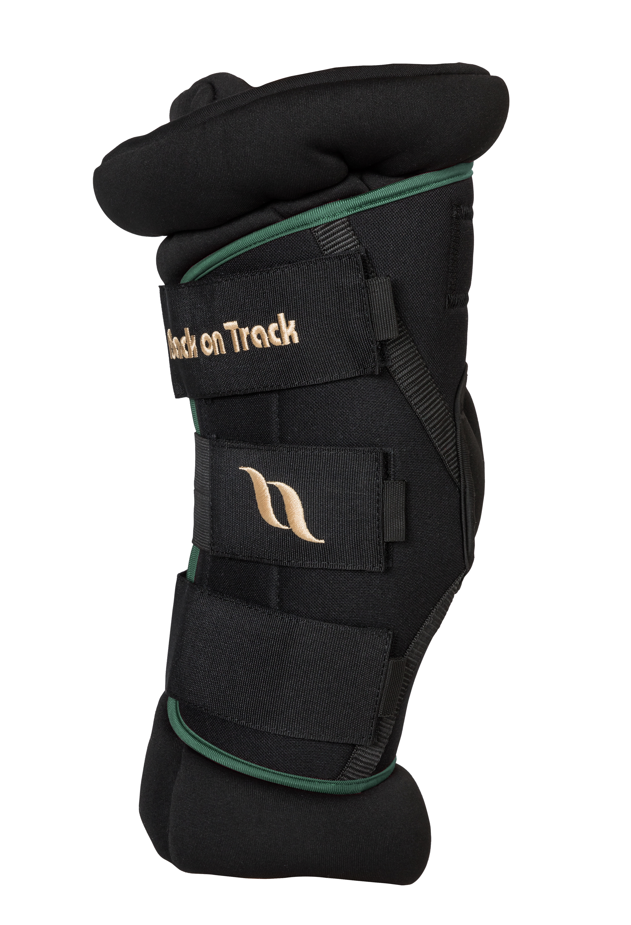 Back on Track Royal Deluxe Hock Boots with padding for joint support, comfort, and therapeutic benefits