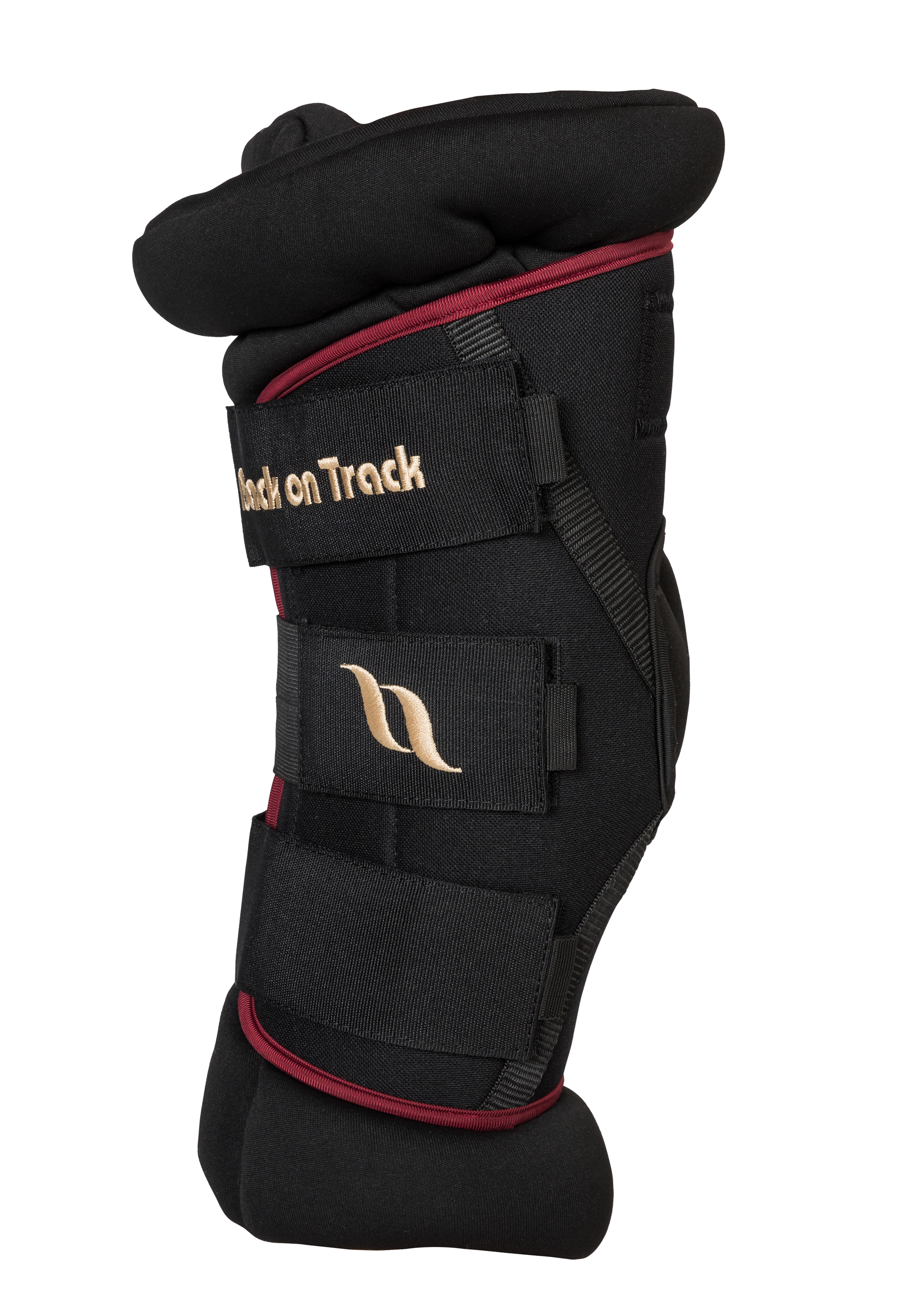 Back on Track Royal Deluxe Hock Boots with padding for joint support, comfort, and therapeutic benefits