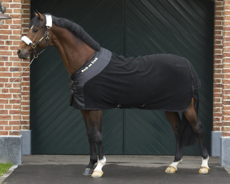 Therapeutic Fleece Horse Blanket Back on Track – Back on Track USA