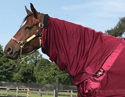 Back on Track Therapeutic Horse Mesh Neck Cover Burgundy