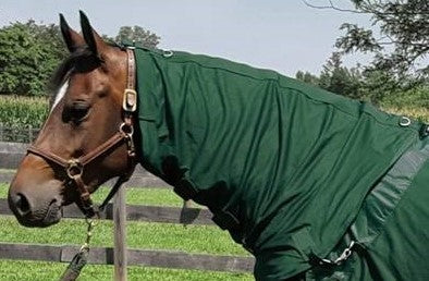 Back on Track Therapeutic Horse Mesh Neck Cover Hunter Green