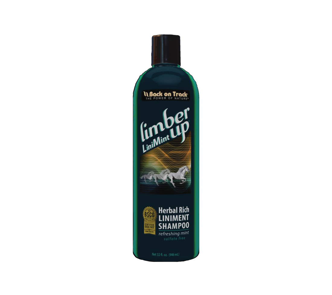 Limber Up Liniment Shampoo